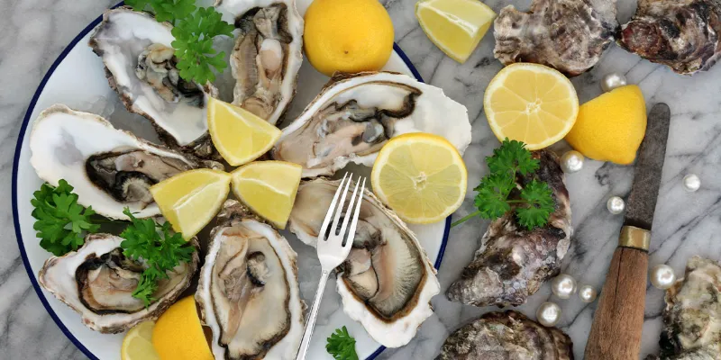 alva-gallery-dining-alva-house-freshly-shucked-oyster